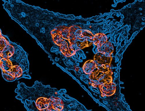 Data now Clearly Backs High Immune Escape: INSACOG