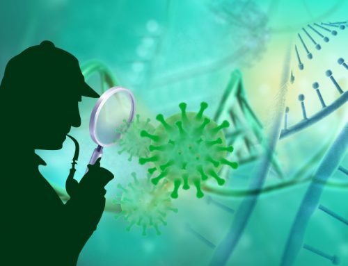 Omicron has split into 2 lineages, but experts allay fears