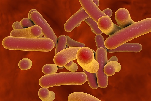 3D illustration of rod-shaped bacteria. Realistic illustration of microbes