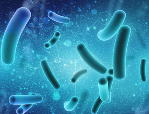 Antimicrobial Resistance and Its Importance