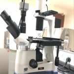 Phase contrast microscope
