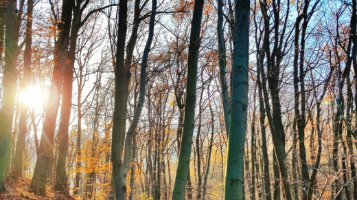 emese-selley-pX-P3uFt0qY-unsplash